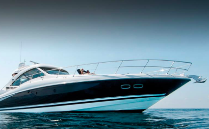 About Exotic VIP Rentals Image 3